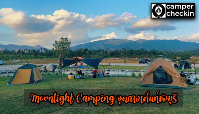 Moonlight Camping