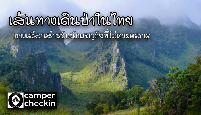 เส้นทางเดินป่าในไทย ทางเลือกสำหรับนักผจญภัยที่ไม่ควรพลาด
